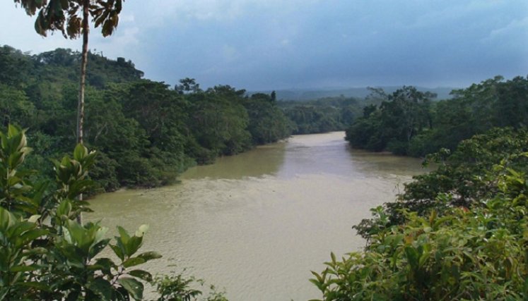 imponente selva del Catatumbo