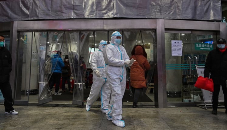 pandemia