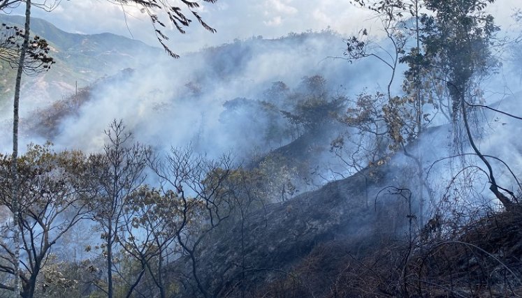 Encendidas se encuentran las alarmas por incendios forestales debido al fenómeno de El Niño./ Fotos: Cortesía