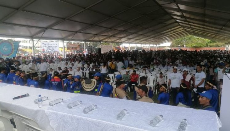 Cocaleros del Catatumbo