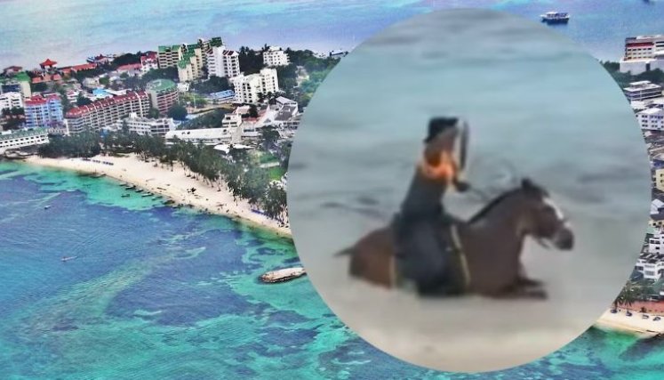 CABALLO MAR 