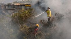 Incendios forestales no cesan en el país./Foto Colprensa