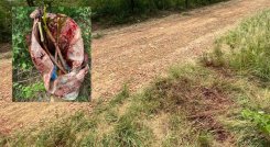 Con un machete agredieron a un hombre en zona rural de San Cayetano